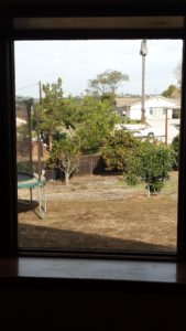 clean home window