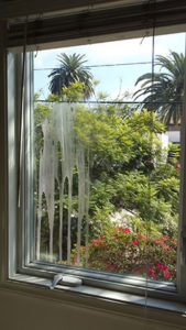 dirty-window-CIWW-250x444